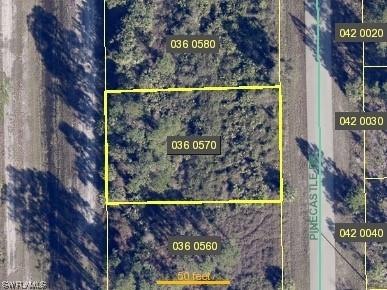 727 Pinecastle Drive Lehigh Acres FL 33974 223085504 image1