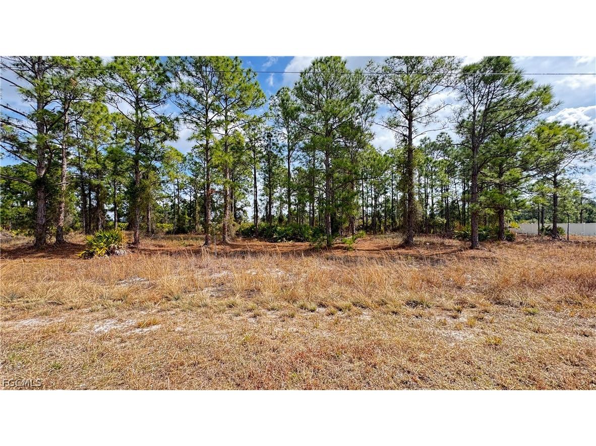 727 Randall Avenue E Lehigh Acres FL 33974 2026009052 image1