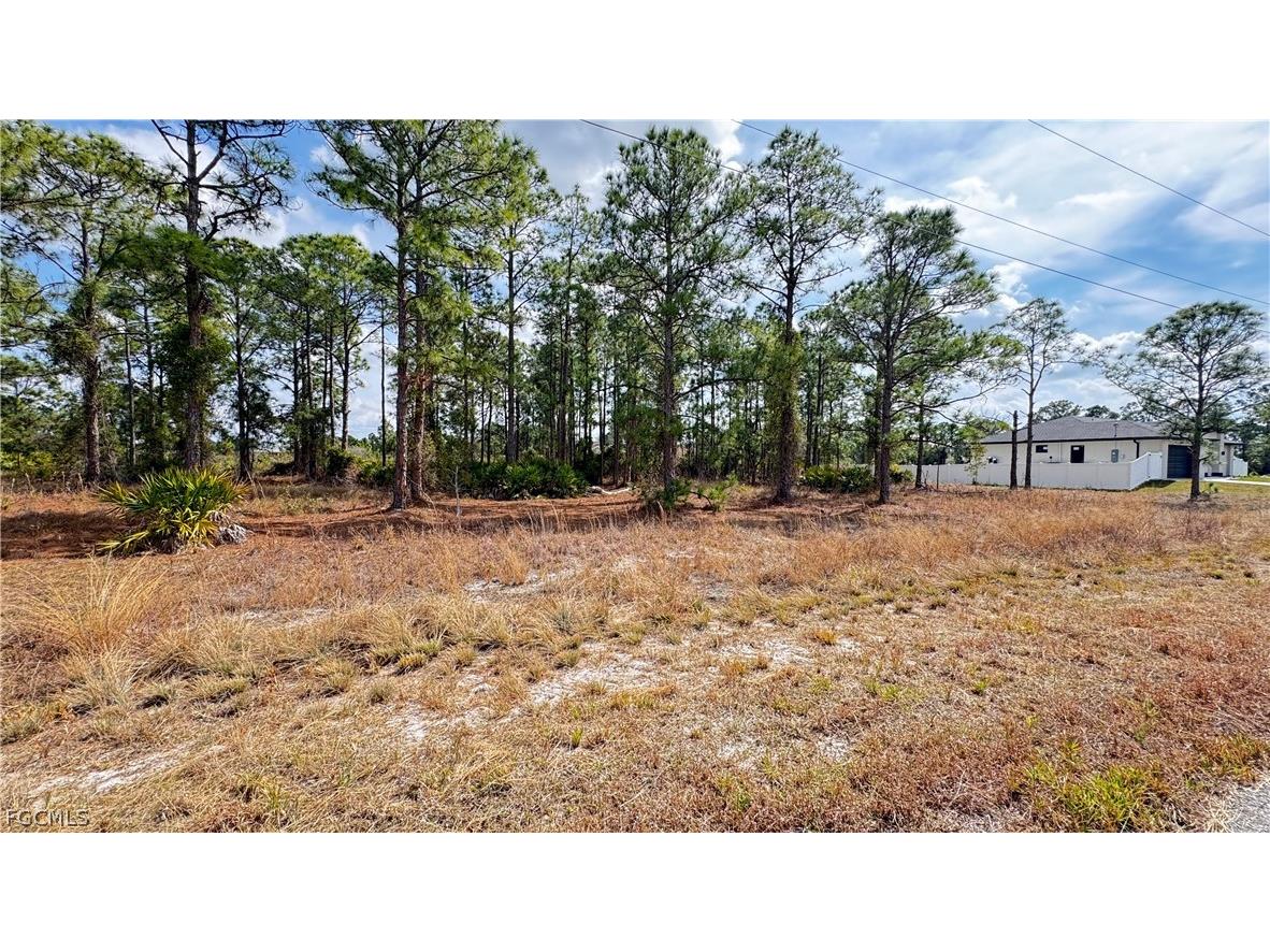 727 Randall Avenue E Lehigh Acres FL 33974 2026009052 image2