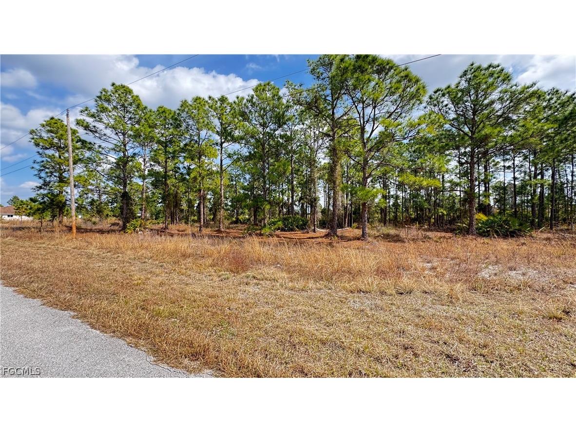 727 Randall Avenue E Lehigh Acres FL 33974 2026009052 image3