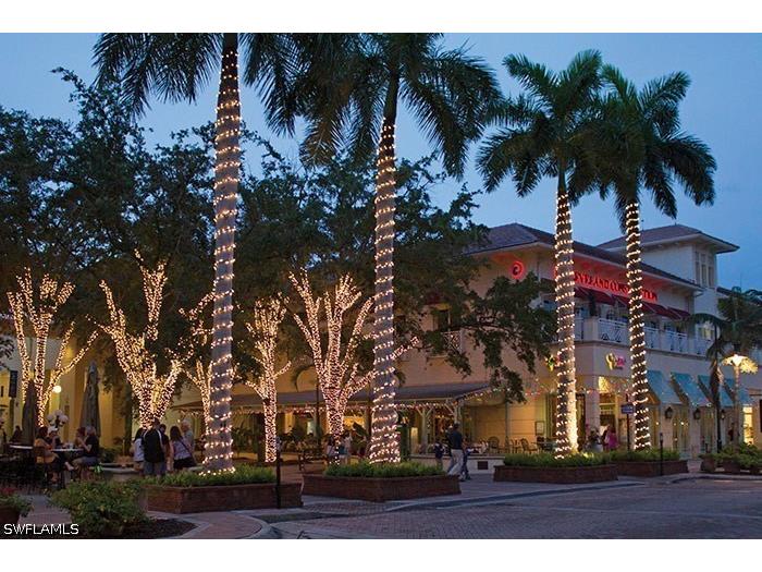 7270 Saona Court Naples FL 34113 226017934 image43