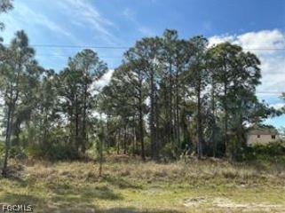 728-730 Eisenhower Boulevard Lehigh Acres FL 33974 2026006740 image1