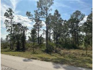 728-730 Eisenhower Boulevard Lehigh Acres FL 33974 2026006740 image2