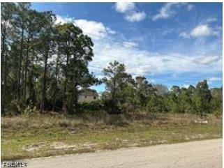 728-730 Eisenhower Boulevard Lehigh Acres FL 33974 2026006740 image3