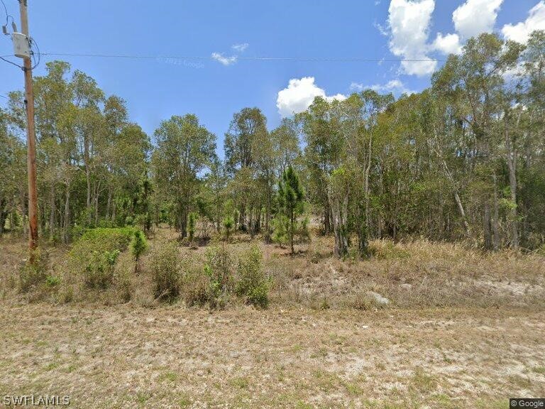 728 Bedford Point Avenue Lehigh Acres FL 33974 224059273 image1