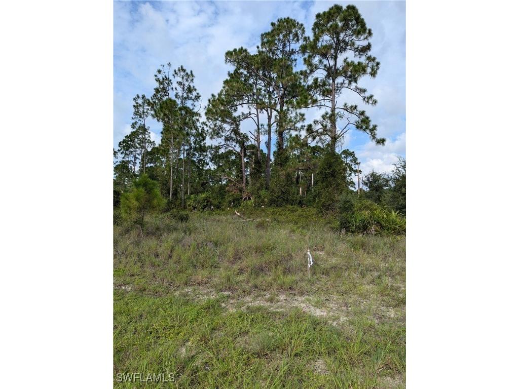 728 Fuller Avenue S Lehigh Acres FL 33974 224065870 image1