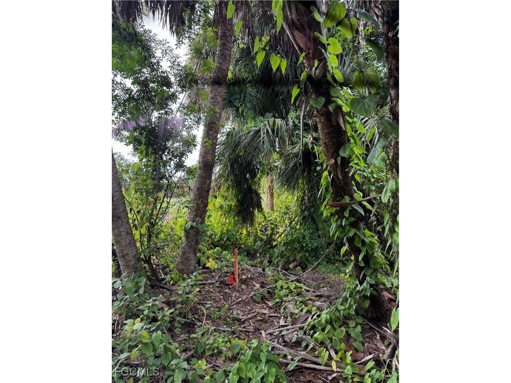 7281 Kreamers Drive Bokeelia FL 33922 2025014210 image4