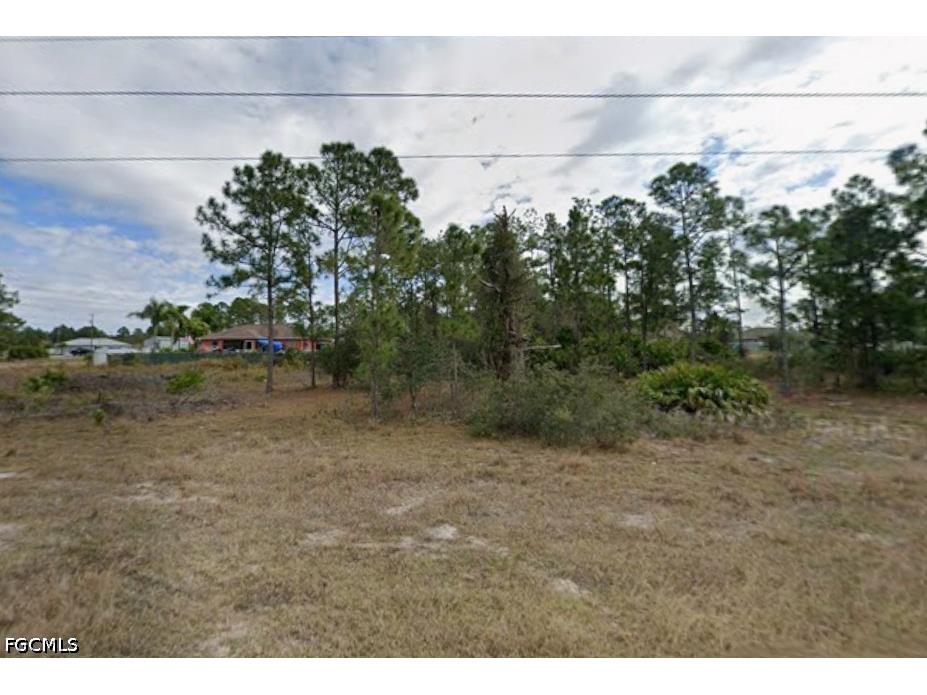 729 Andover Avenue S Lehigh Acres FL 33974 2026017964 image1