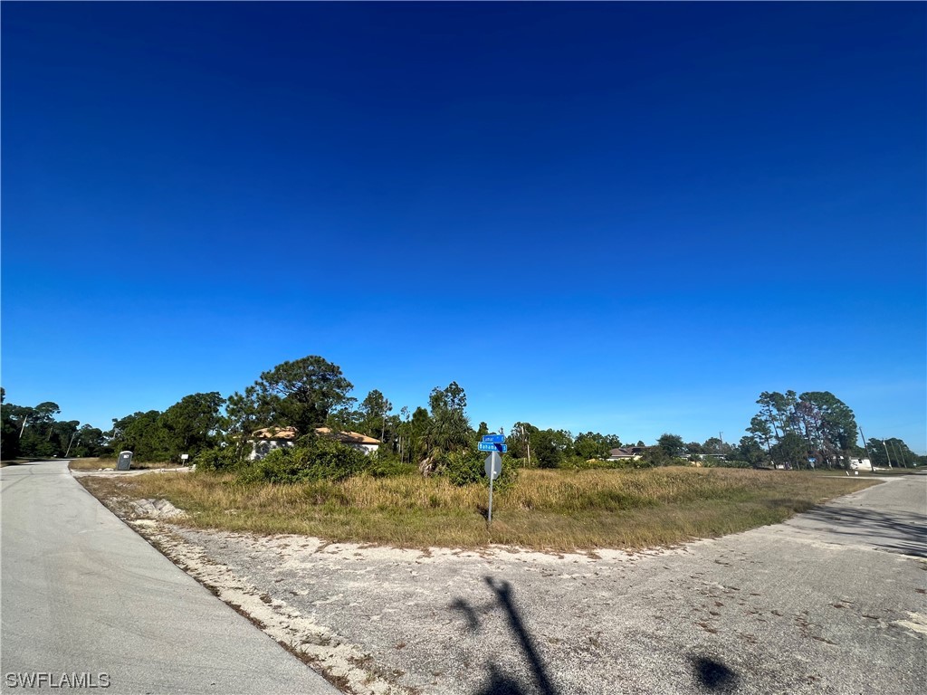 729 Lamar Street E Lehigh Acres FL 33974 223082914 image1