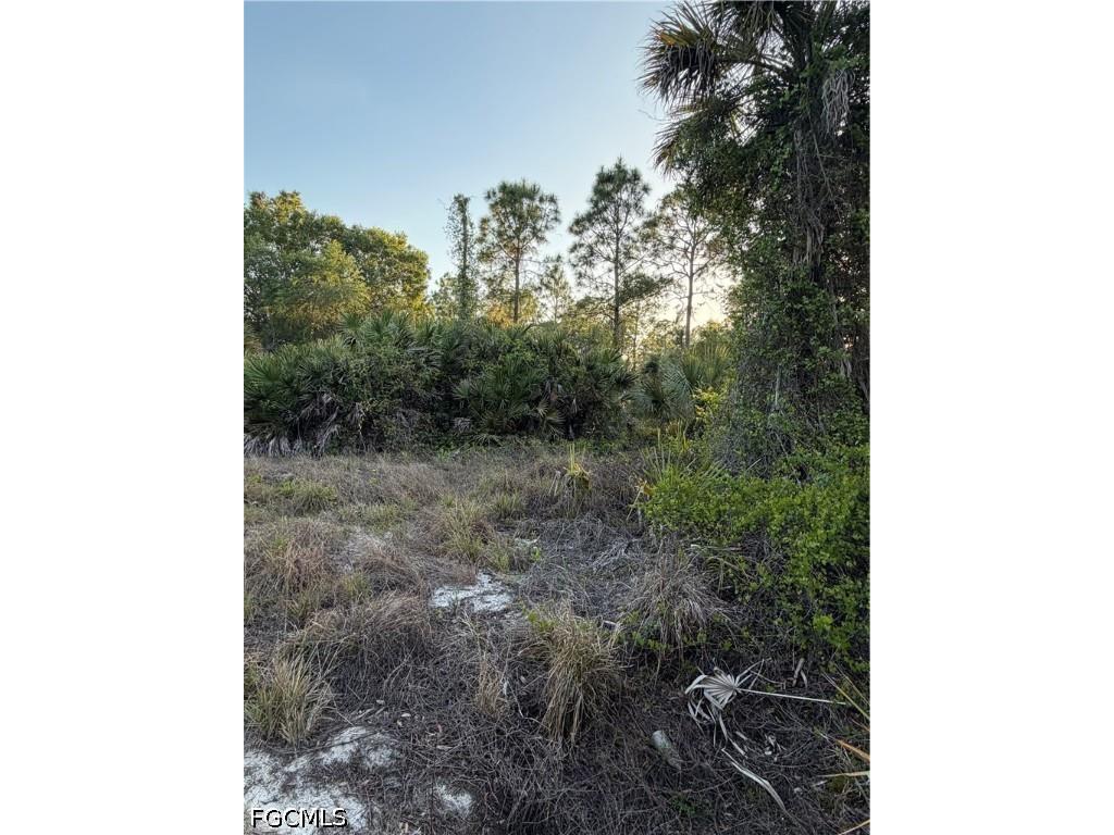 730 S Romero Street Clewiston FL 33440 2026019054 image10
