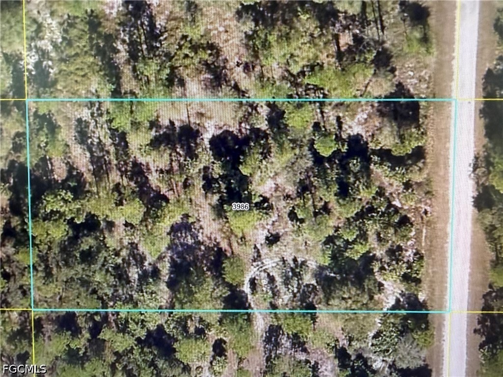 730 S Romero Street Clewiston FL 33440 2026019054 image2