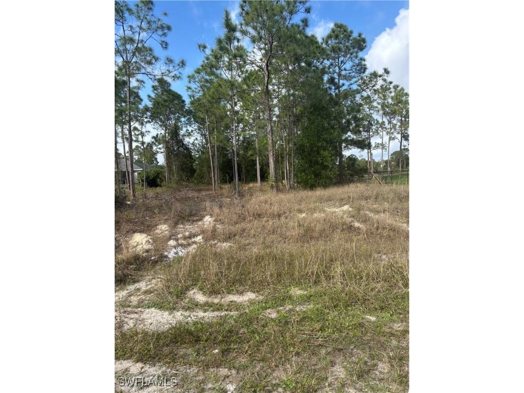 730 Troy Avenue Lehigh Acres FL 33974 225018626 image1