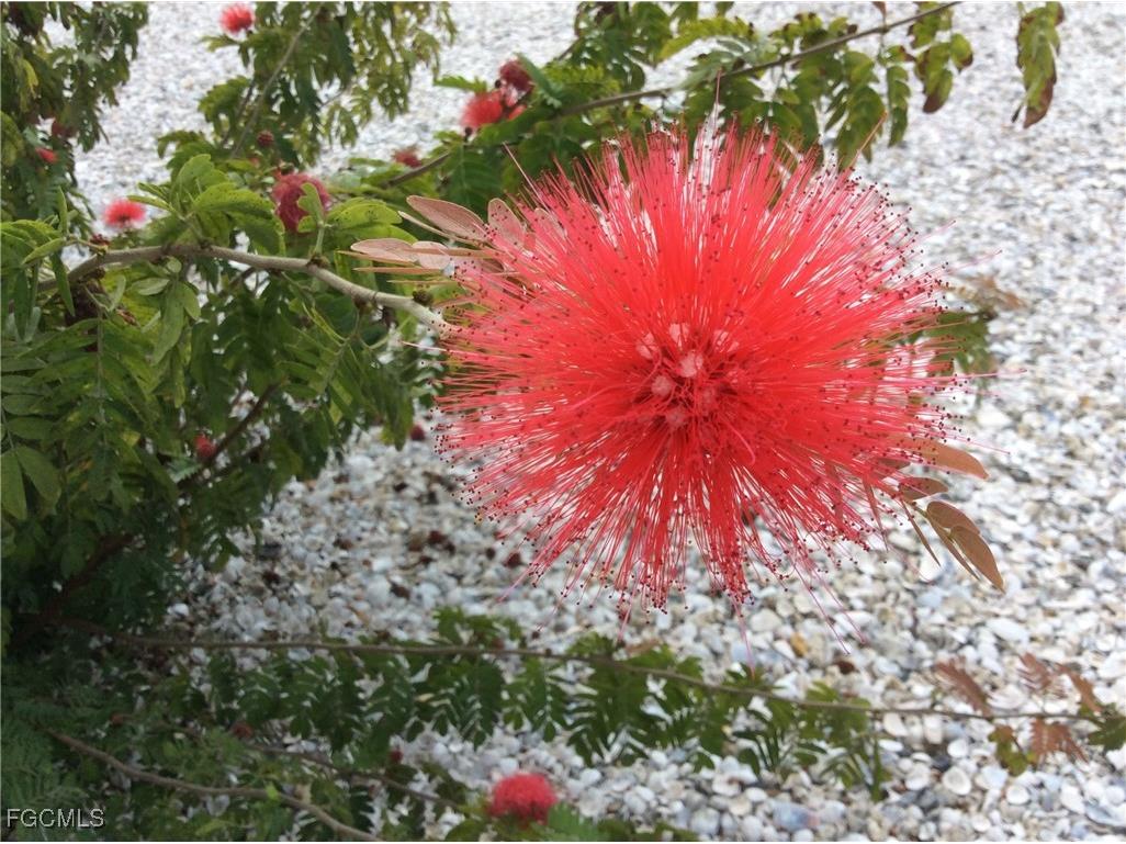 7300 Estero Boulevard #503 Fort Myers Beach FL 33931 2025020330 image43