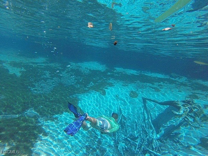 7300 Estero Boulevard #503 Fort Myers Beach FL 33931 2025020330 image45