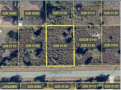 731 Camilla Street E Lehigh Acres FL 33974 224009451 image1