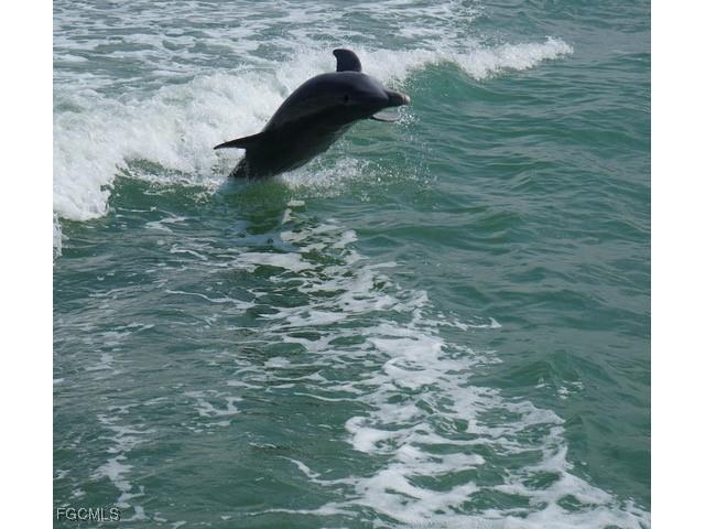  Fort Myers Beach FL 33931 2026001980 image28