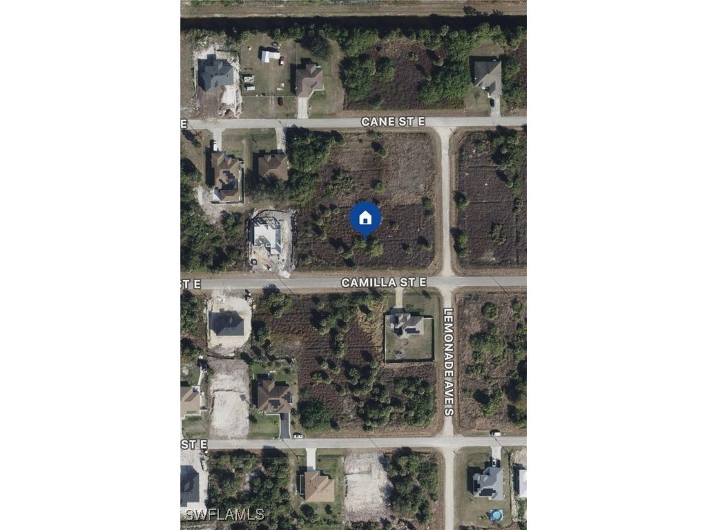 733 Camilla Street E Lehigh Acres FL 33974 225068870 image1