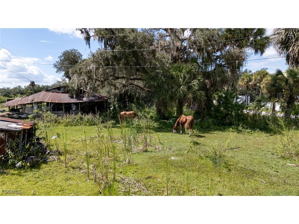 7339 Us Hwy 27 Venus FL 33960 2025011475 image21