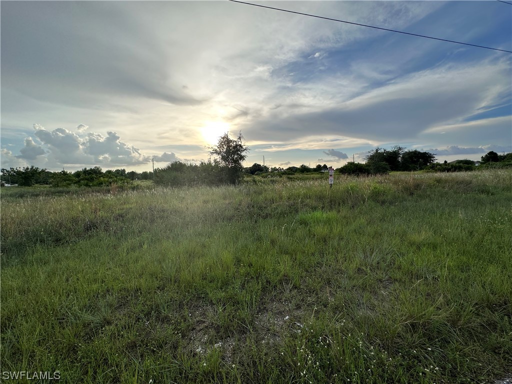 734 Fleming Avenue S Lehigh Acres FL 33974 223058289 image1