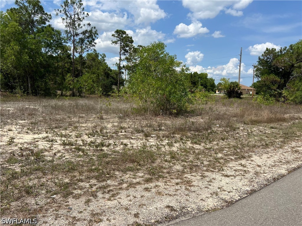 735 Delridge Avenue S Lehigh Acres FL 33974 226014794 image4