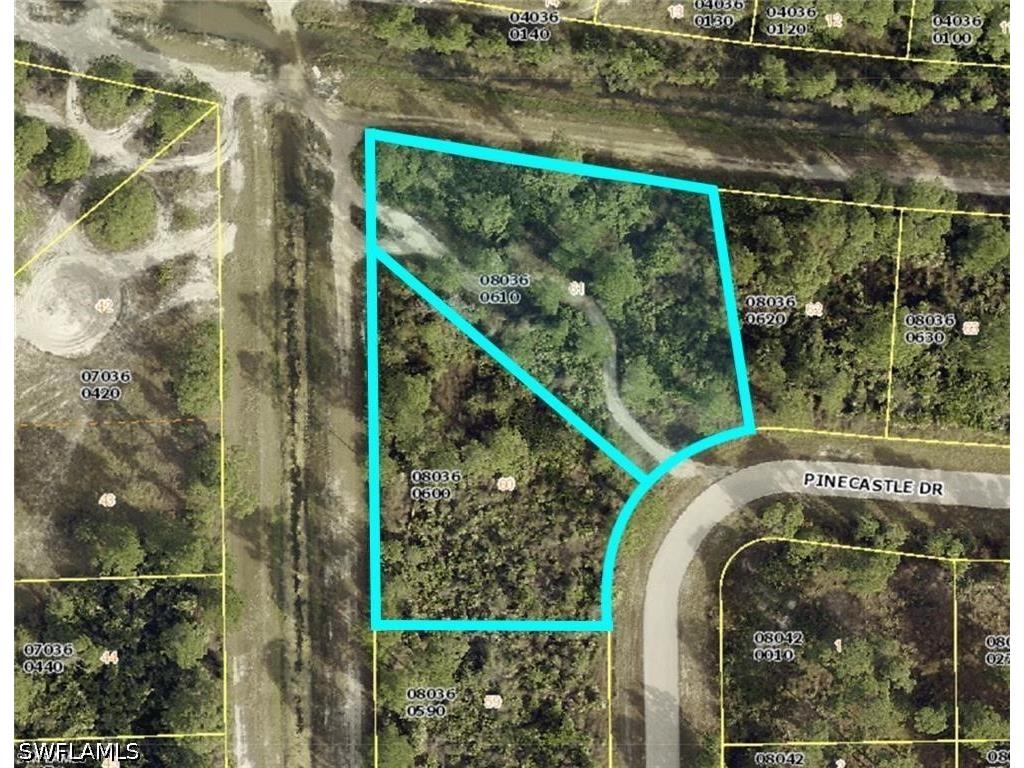 735 Pinecastle Drive Lehigh Acres FL 33974 226023126 image1