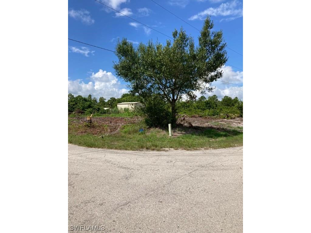 736 Chambers Street E Lehigh Acres FL 33974 223014662 image1