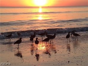 7360 Estero Boulevard #1006 Fort Myers Beach FL 33931 2025021346 image31