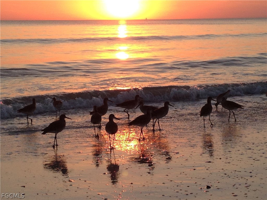 7360 Estero Boulevard #PH6 Fort Myers Beach FL 33931 2026012665 image22