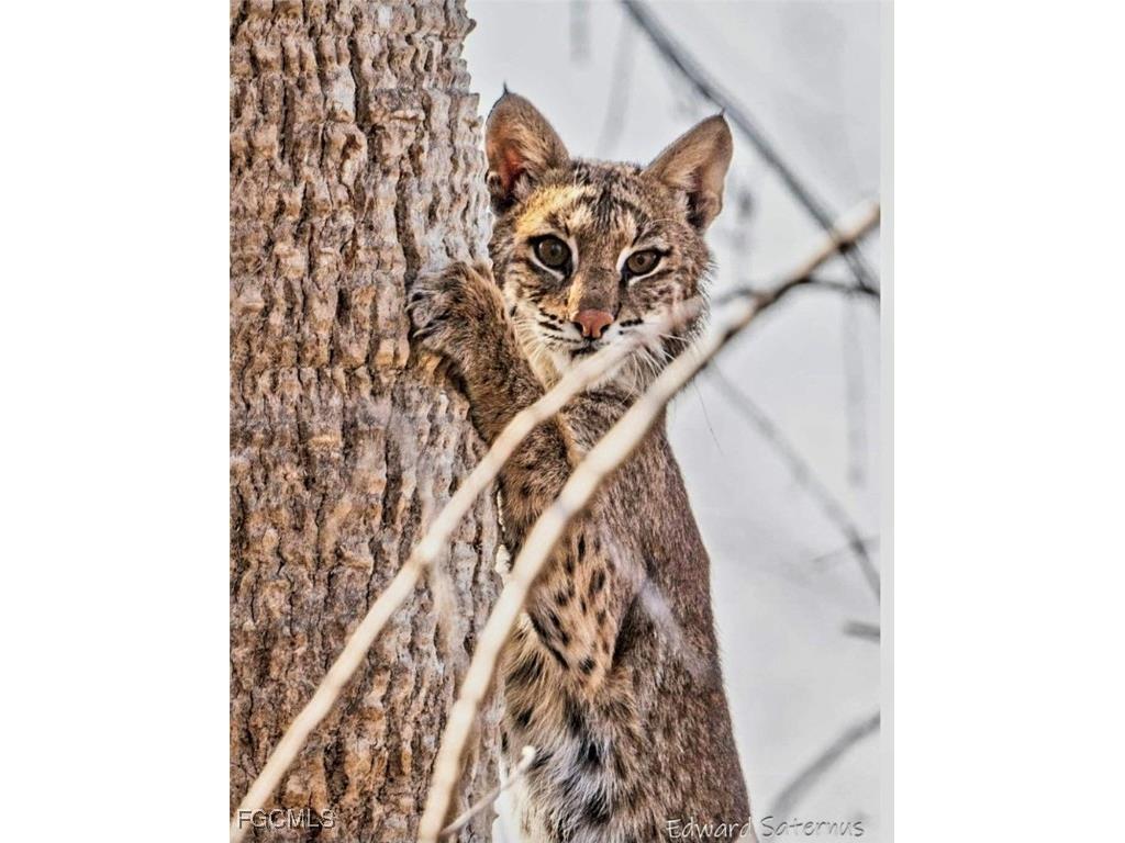 737 Vinca Way Sanibel FL 33957 2025014085 image43