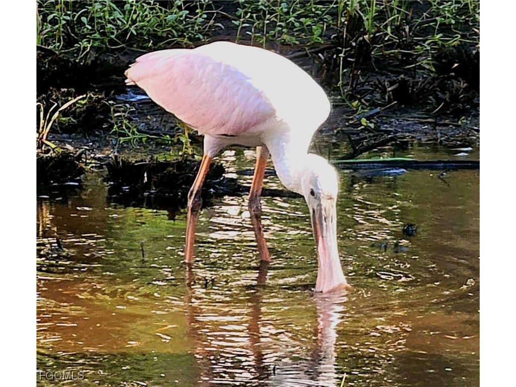 737 Vinca Way Sanibel FL 33957 2025014085 image45