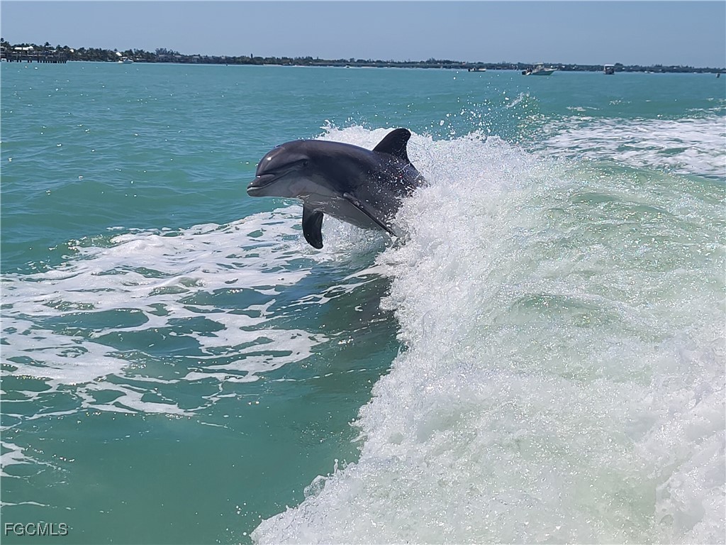 737 Vinca Way Sanibel FL 33957 2025014085 image46