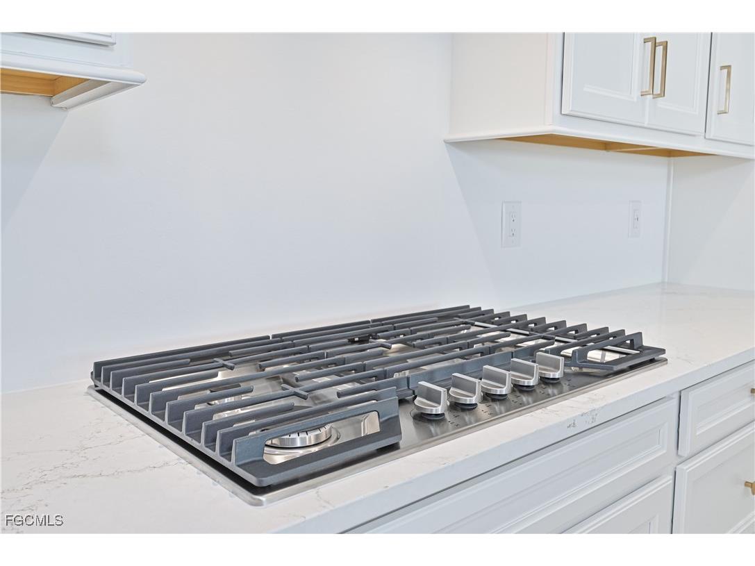 7394 Blue Salvia Drive North Fort Myers FL 33917 2025021717 image16