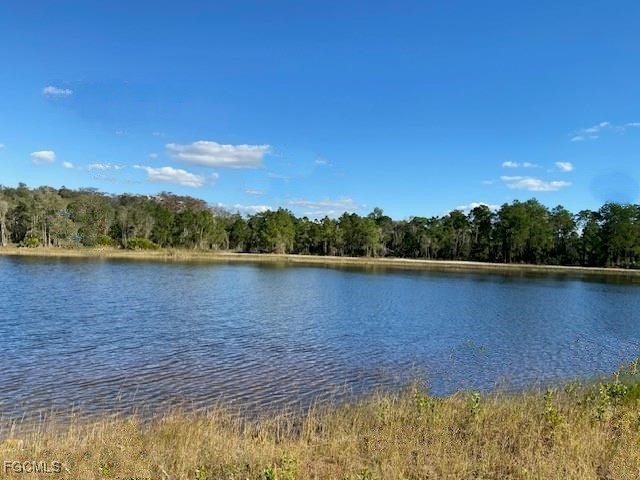 740 Harcourt Avenue Lehigh Acres FL 33974 2025016187 image7