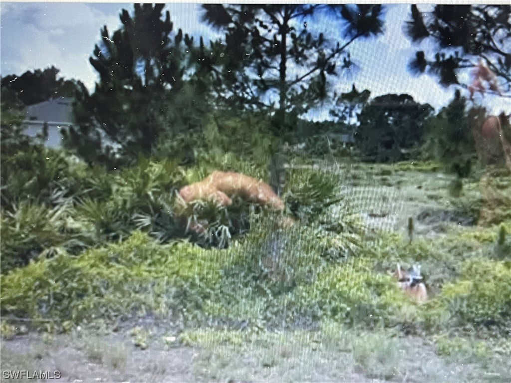 740 Newhall Street E Lehigh Acres FL 33974 224014627 image1