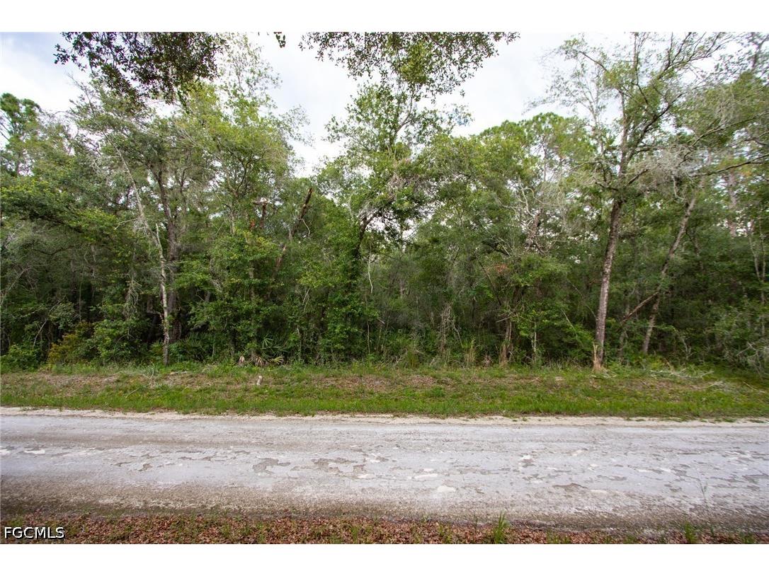 7406 Southeast Avenue Webster FL 33597 2026028099 image2