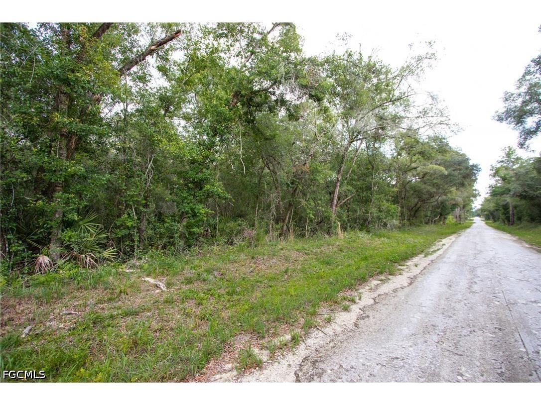 7406 Southeast Avenue Webster FL 33597 2026028099 image3