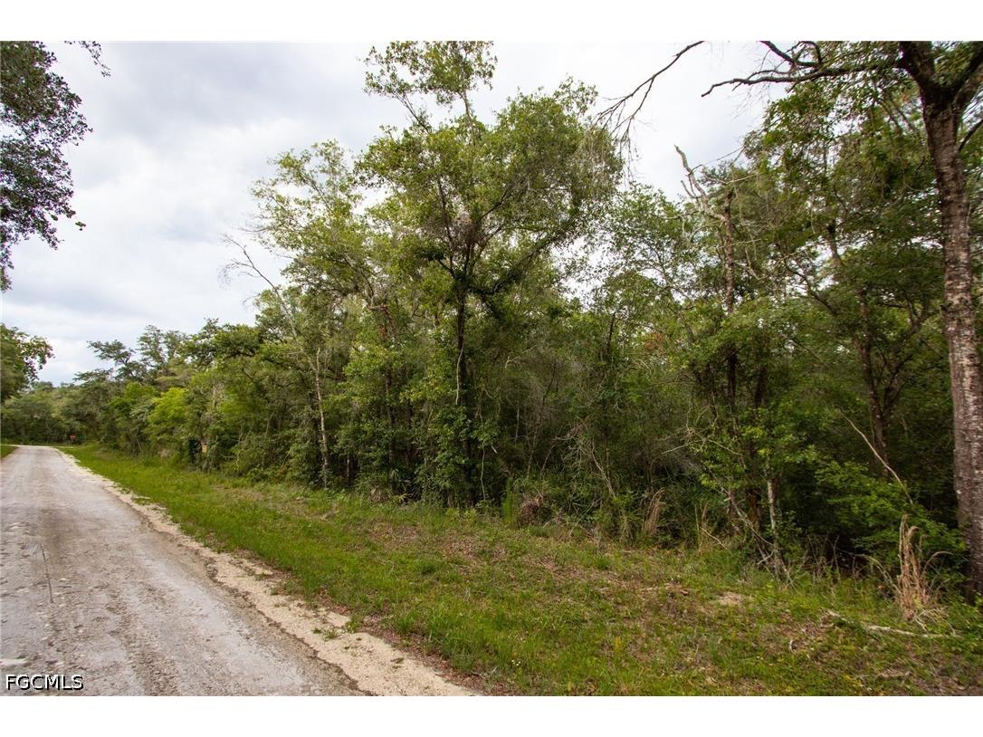 7406 Southeast Avenue Webster FL 33597 2026028099 image4