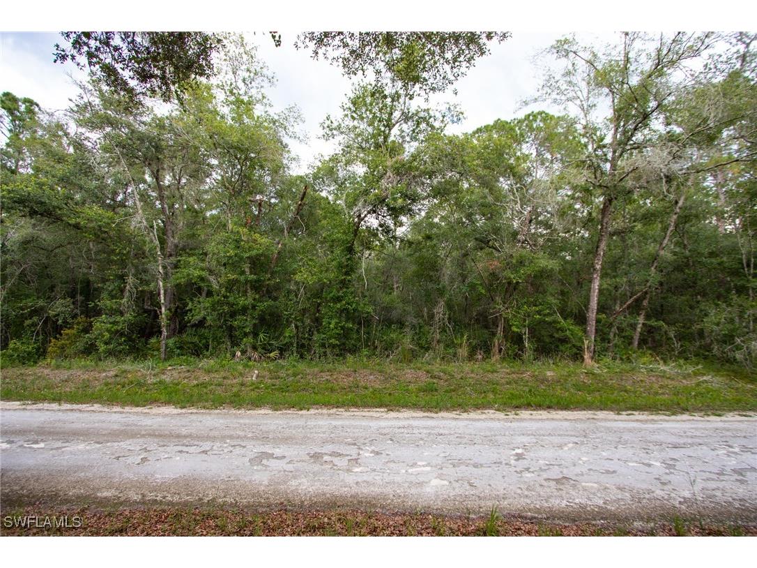 7406 Southeast Avenue Webster FL 33597 225053916 image2