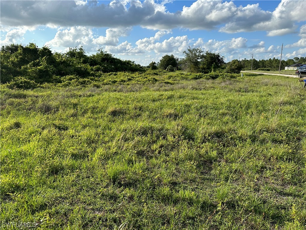 742 Oakridge Avenue S Lehigh Acres FL 33974 223043235 image1