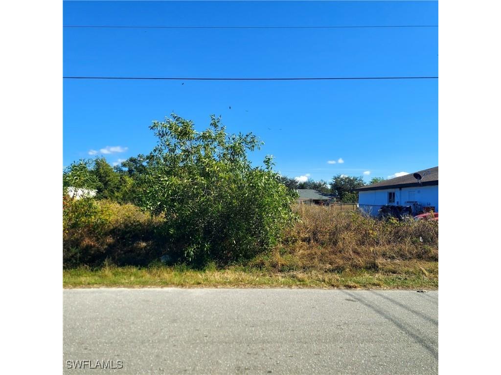 743 Homer Avenue S Lehigh Acres FL 33973 225085266 image1