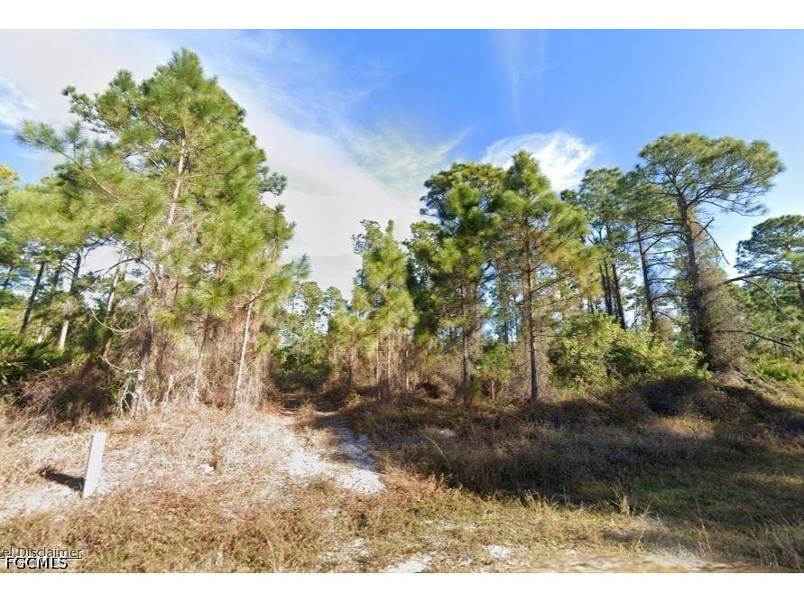 743 Pinecastle Drive Lehigh Acres FL 33974 2026027210 image2