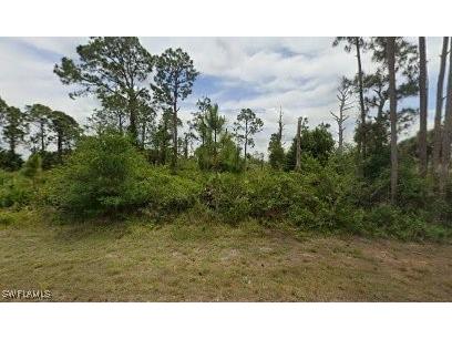 743 Roma Avenue S Lehigh Acres FL 33974 224067843 image1