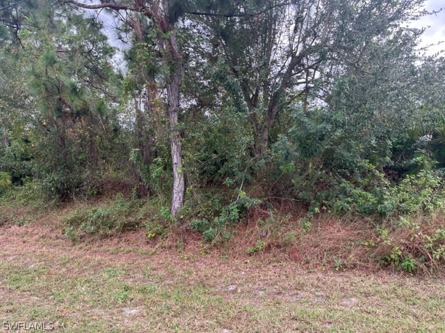 744 Chemstrand Street E Lehigh Acres FL 33974 223001826 image1