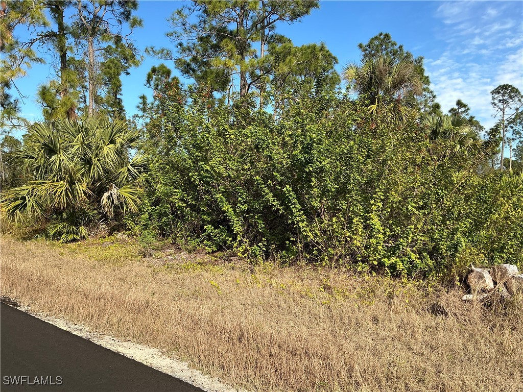745 Oro Avenue S Lehigh Acres FL 33974 226002641 image1
