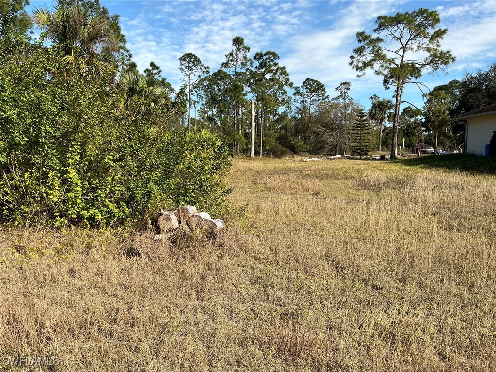 745 Oro Avenue S Lehigh Acres FL 33974 226002641 image3