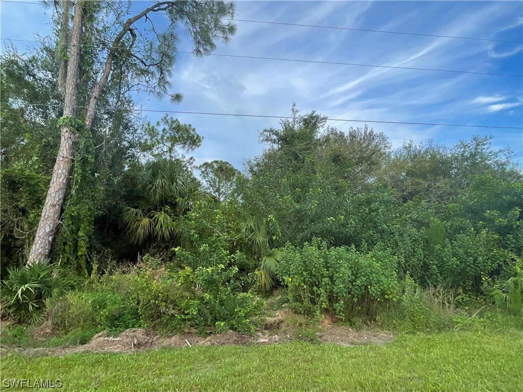 745 S Palomino Street Clewiston FL 33440 223065672 image1