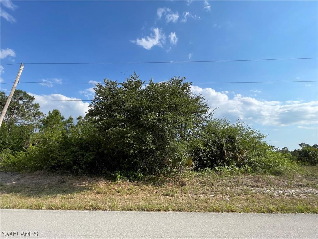 746 Cardinal Street E Lehigh Acres FL 33974 223035782 image1