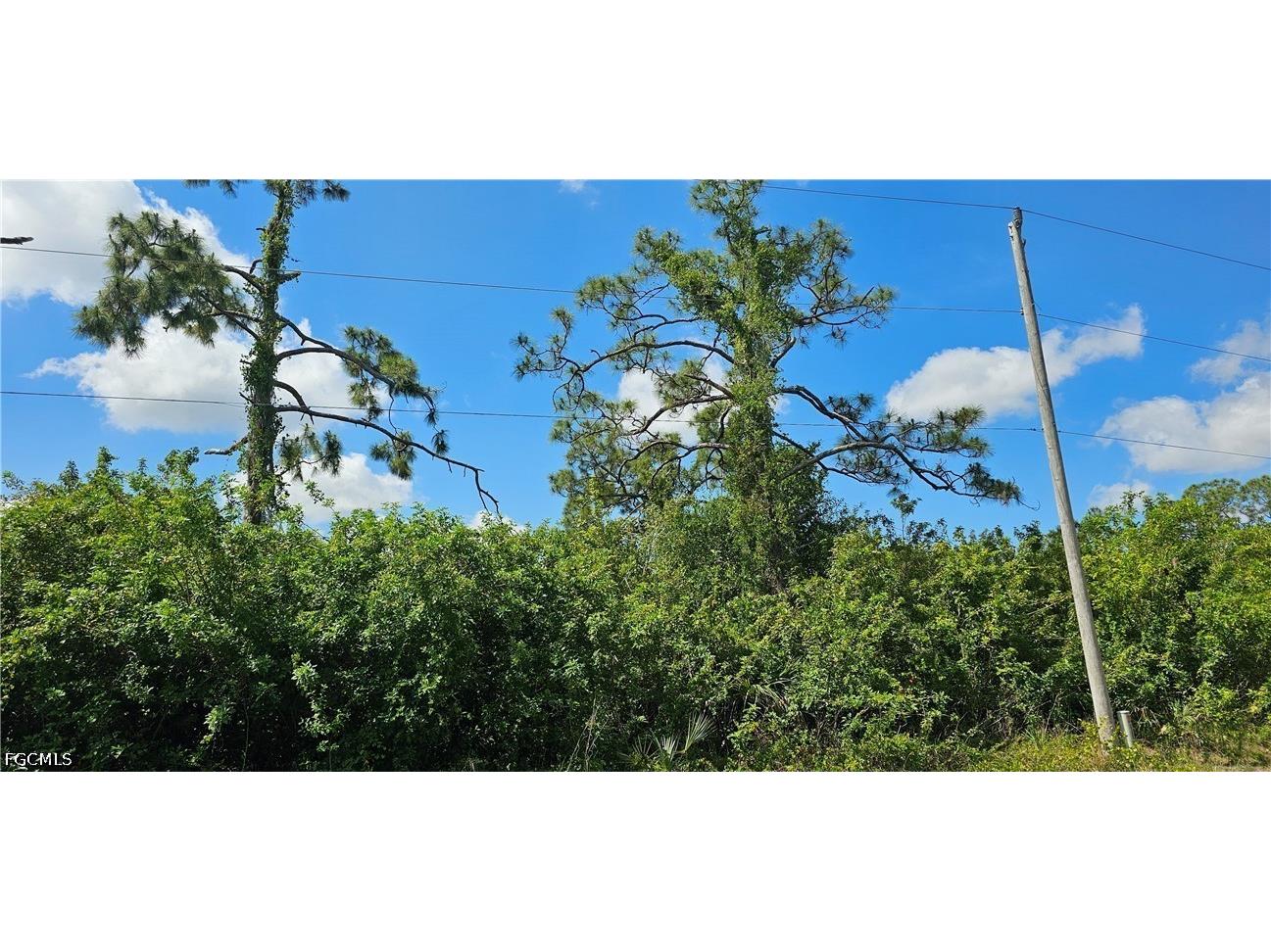 746 Chattman Street E Lehigh Acres FL 33974 2026021445 image6