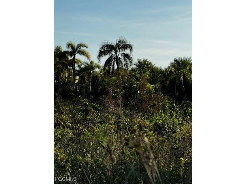 7465 7448 7421 Max Drive Bokeelia FL 33922 2025024074 image10