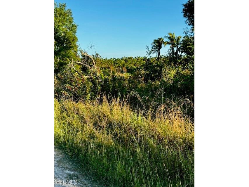 7465 7448 7421 Max Drive Bokeelia FL 33922 2025024074 image3